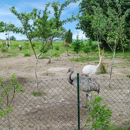 아파트 Stunning In Bandow With Wifi Schwaan